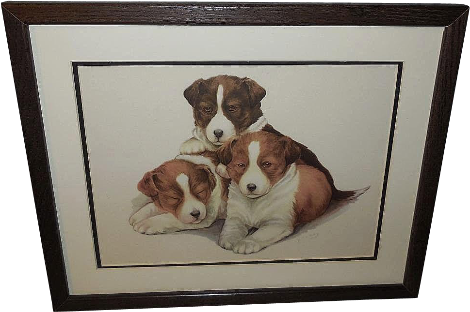 Artist - Serbian Tricolour Hound (968x968), Png Download