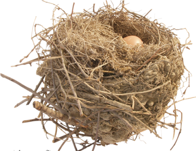 Nest Clipart Transparent Background - Cachitos De Vida (640x480), Png Download