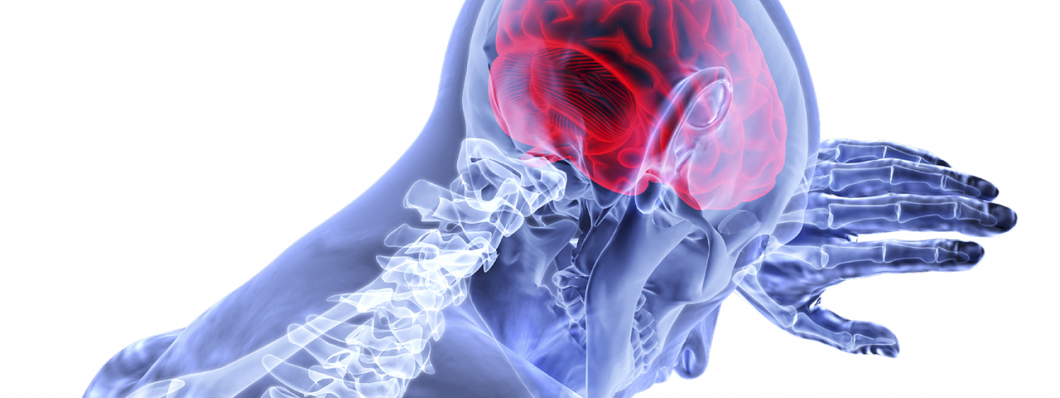 Graphic Showing Brain And Skeleton - Brain Concussion Transparent (1500x563), Png Download
