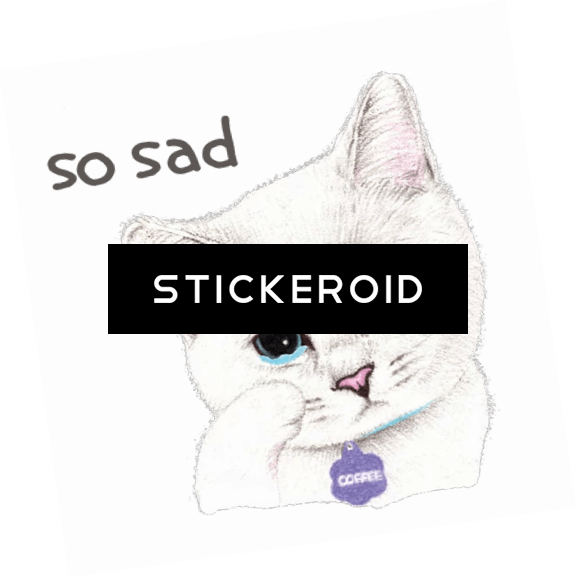 Sad Girl In Front Of Laptop - Duke Nukem Forever Box Art (577x578), Png Download