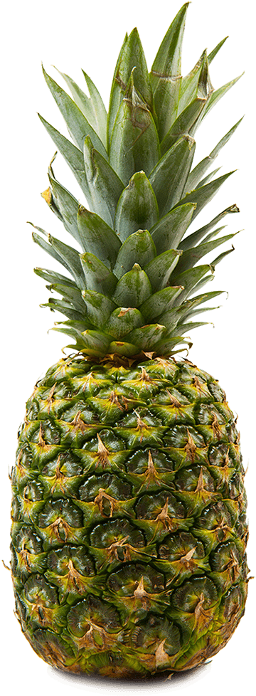 Pineapple Is A Tropical Fruit And A Staple In Many - Pineapple (458x987), Png Download