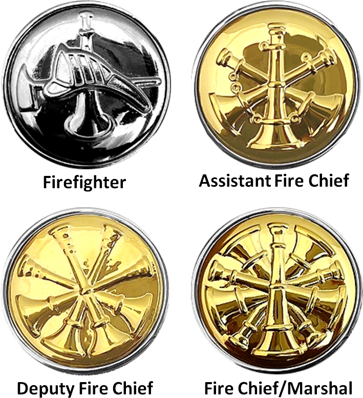 Usaf Fire Protection Badge-shield Varients (713x788), Png Download