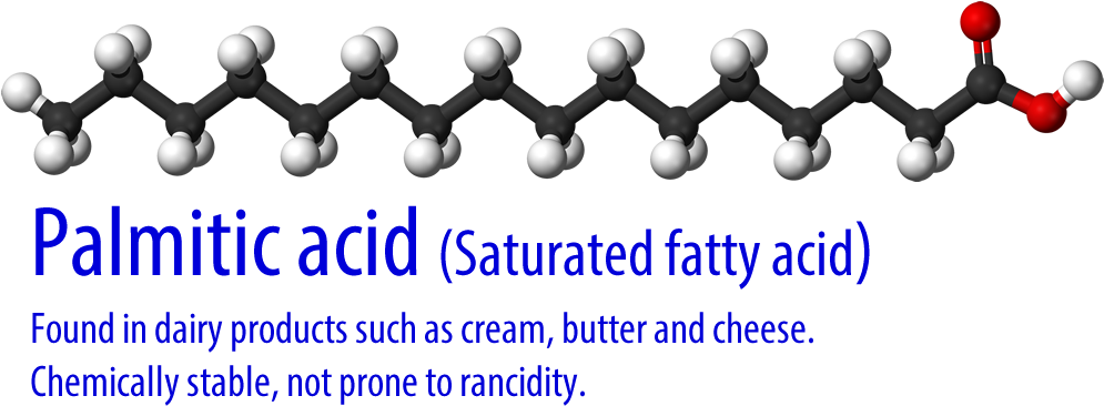 The White Balls Are Hydrogen, The Black Are Carbon, - Saturated Fat Molecule Model (1020x400), Png Download