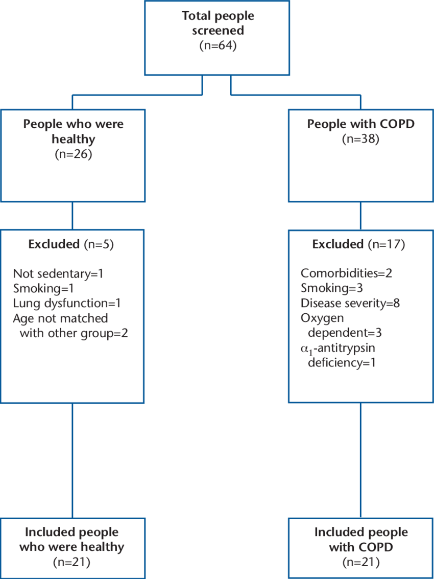Download Consort Diagram Showing The Recruitment Process And