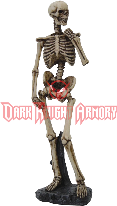 Statue Of David Skeleton (726x726), Png Download