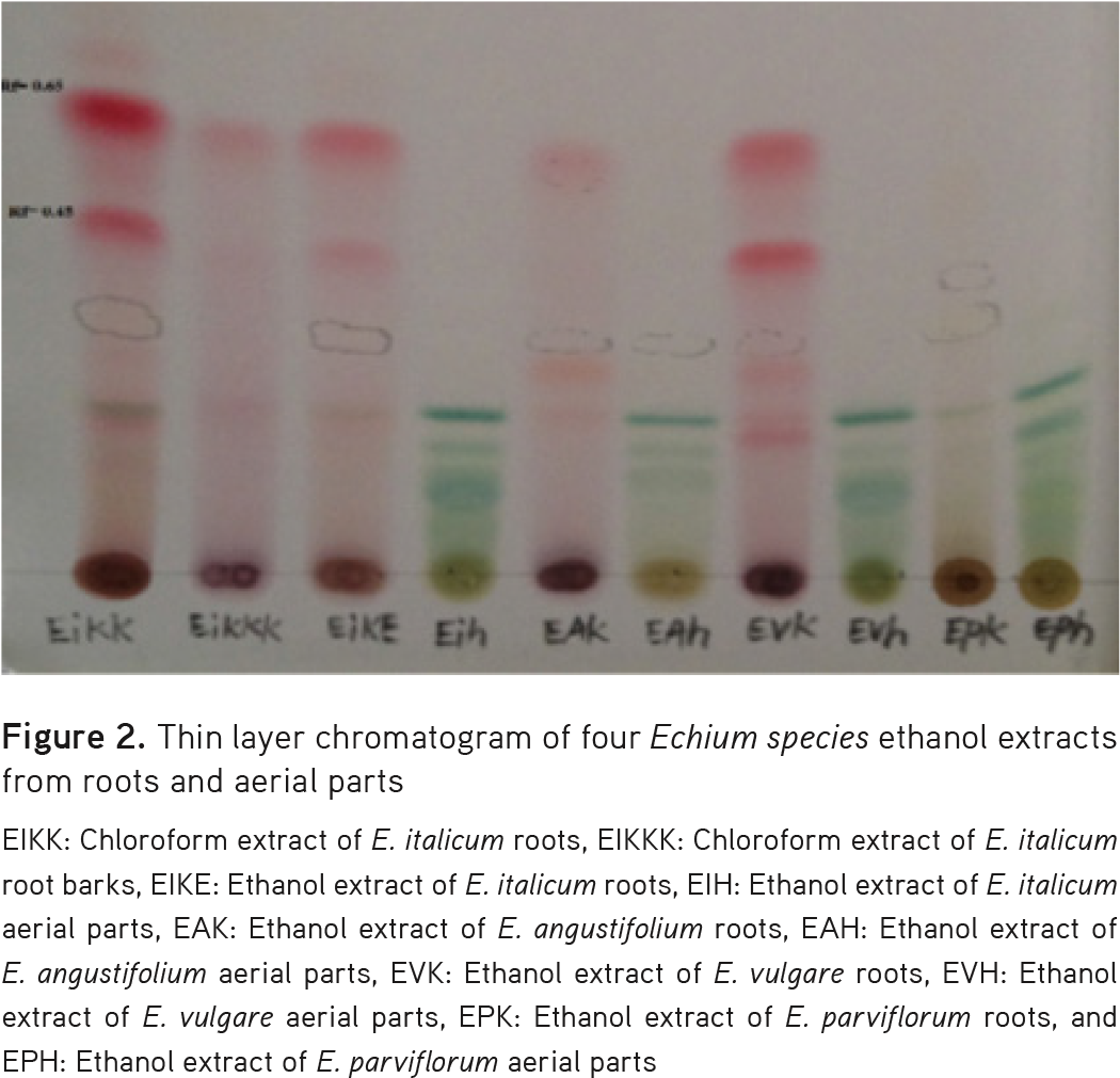 2) - - Tints And Shades (1070x1021), Png Download