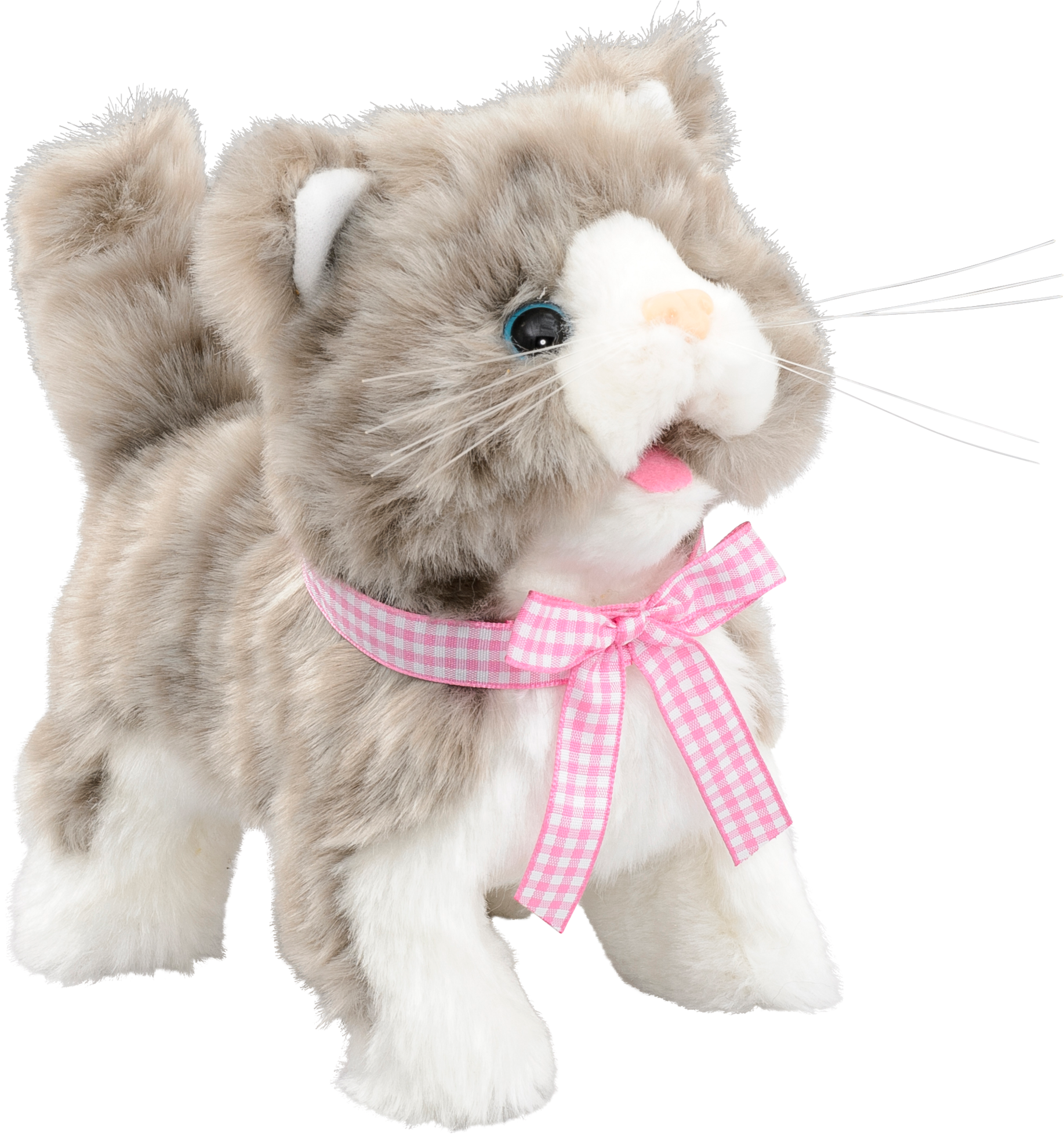 Walking Cat 2 Assorted, , Large (2000x2015), Png Download