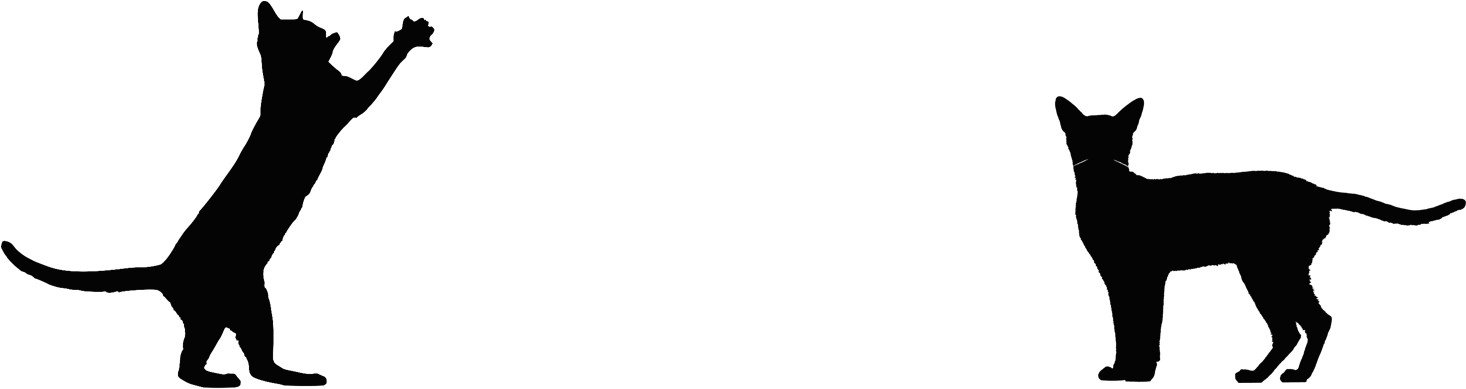 Cat Calls Cat Calls - Cat (1920x456), Png Download