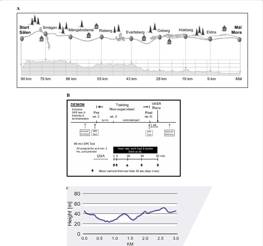 Race And Elevation Profile Of The 91 Km Ski Race Vasaloppet - Vasaloppet (850x796), Png Download