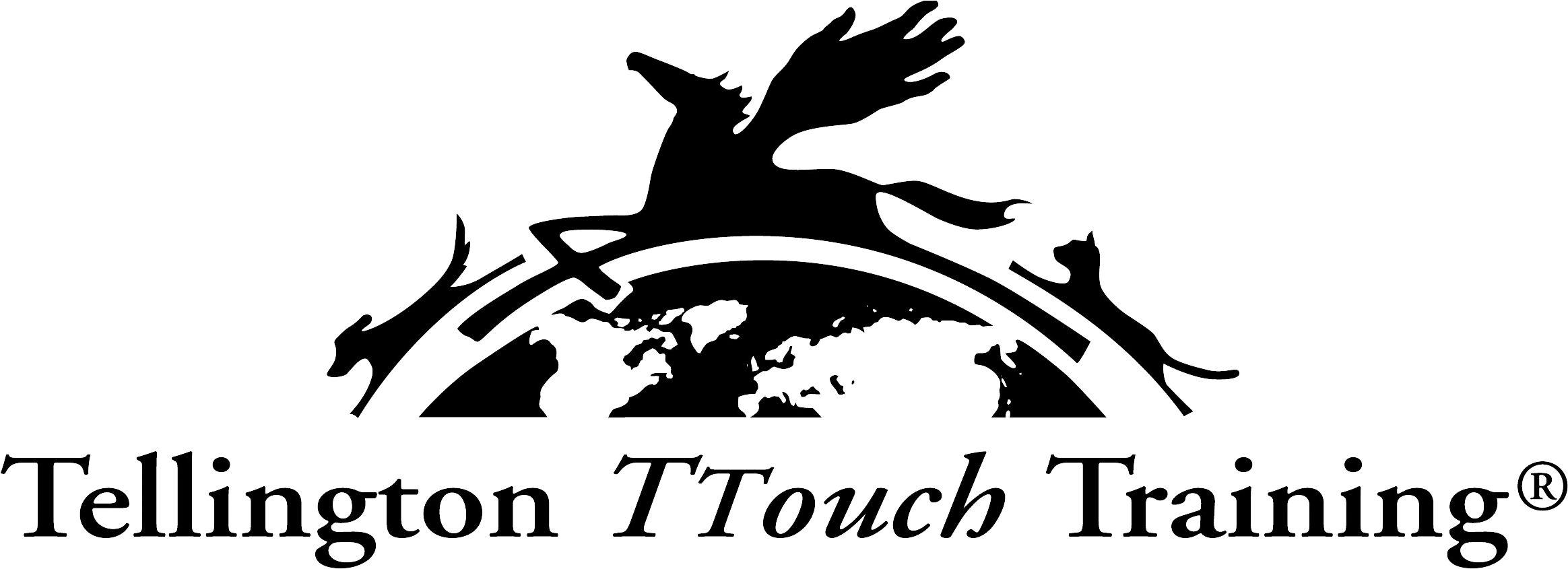Join The Canine Confidence Club - Tellington Ttouch Training (2340x846), Png Download