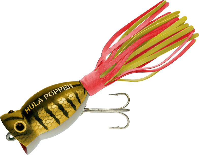 Brown Parrot W/red & Yellow Skirt - Arbogast Hula Popper G770 Brown Parrot W/ Red & (783x609), Png Download