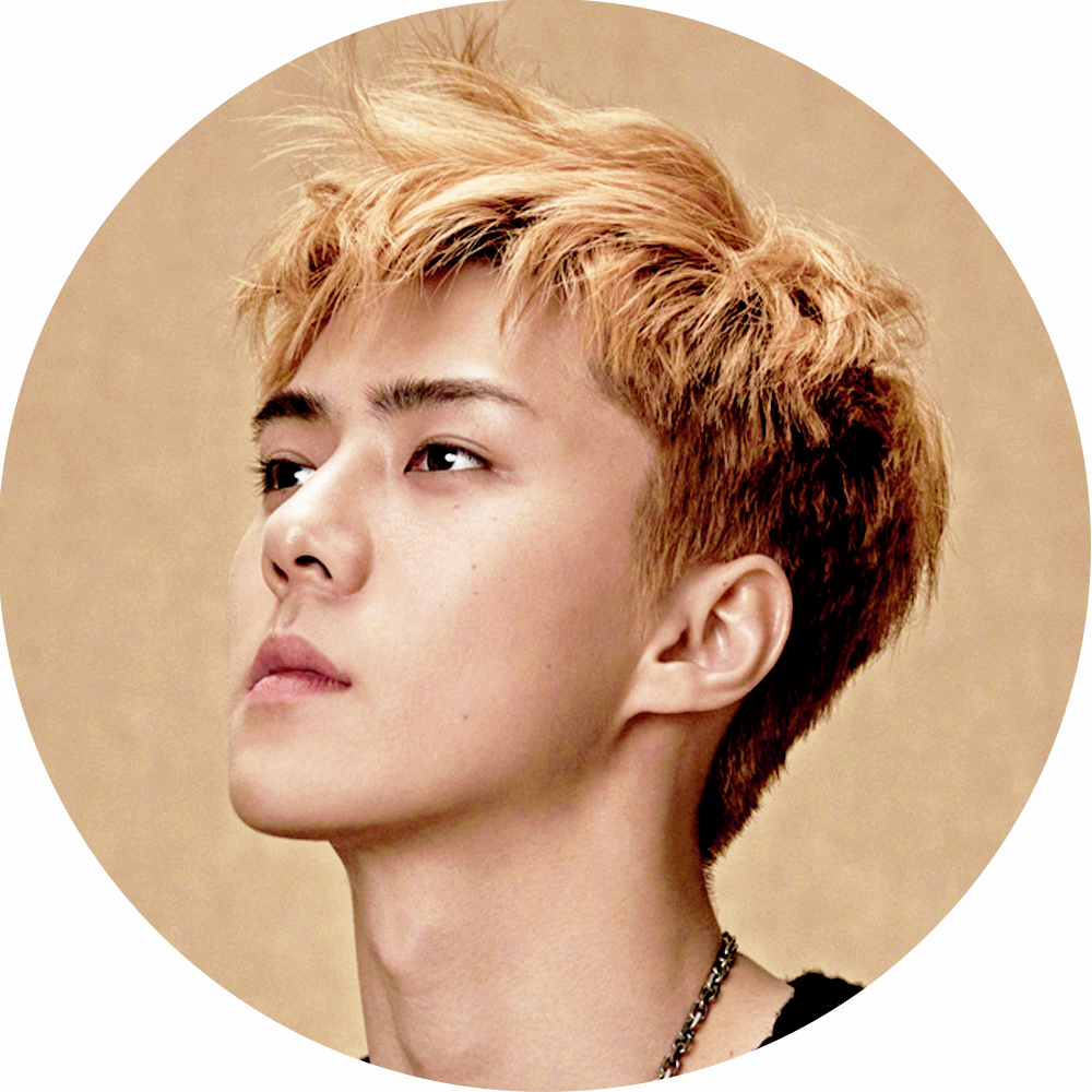 [edit/icon] Superelle - Sehun Superelle (1000x1000), Png Download