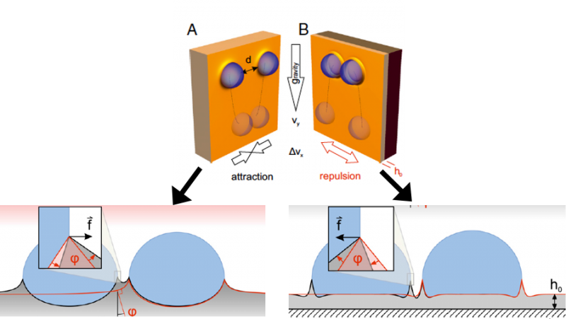 Mechanism Of Attraction And Repulsion Of Drops On Soft - Diagram (800x451), Png Download
