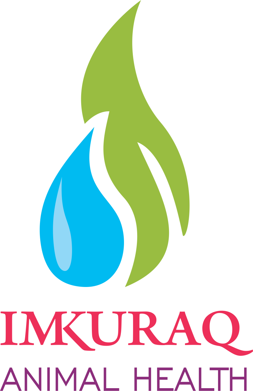 Surabaya (804x1244), Png Download