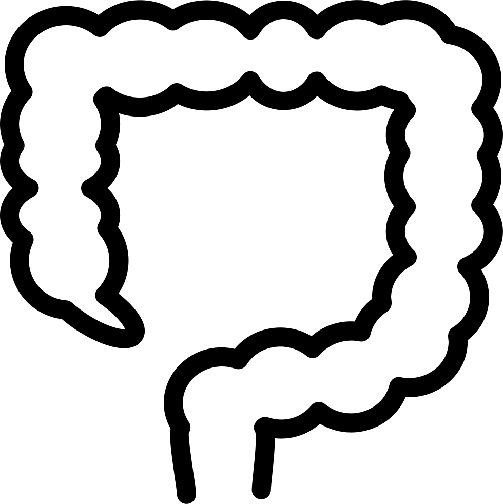 Png File Svg (980x982), Png Download