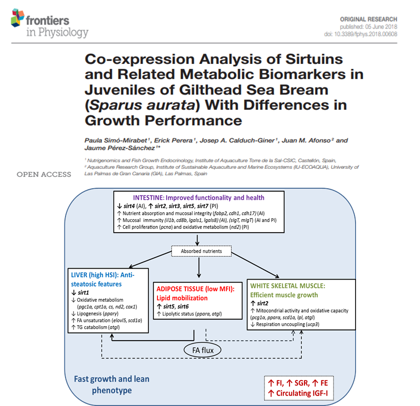 Josep Alvar Calduch Giner, Juan Manuel Afonso, Jaume - Frontiers (840x813), Png Download