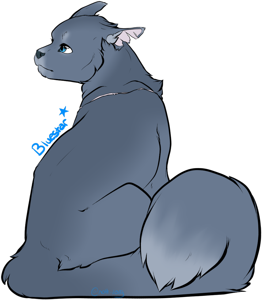 Bluestar Art Is Mine // Warriors Belongs To Erin Hunter - Erin Hunter (1200x1200), Png Download
