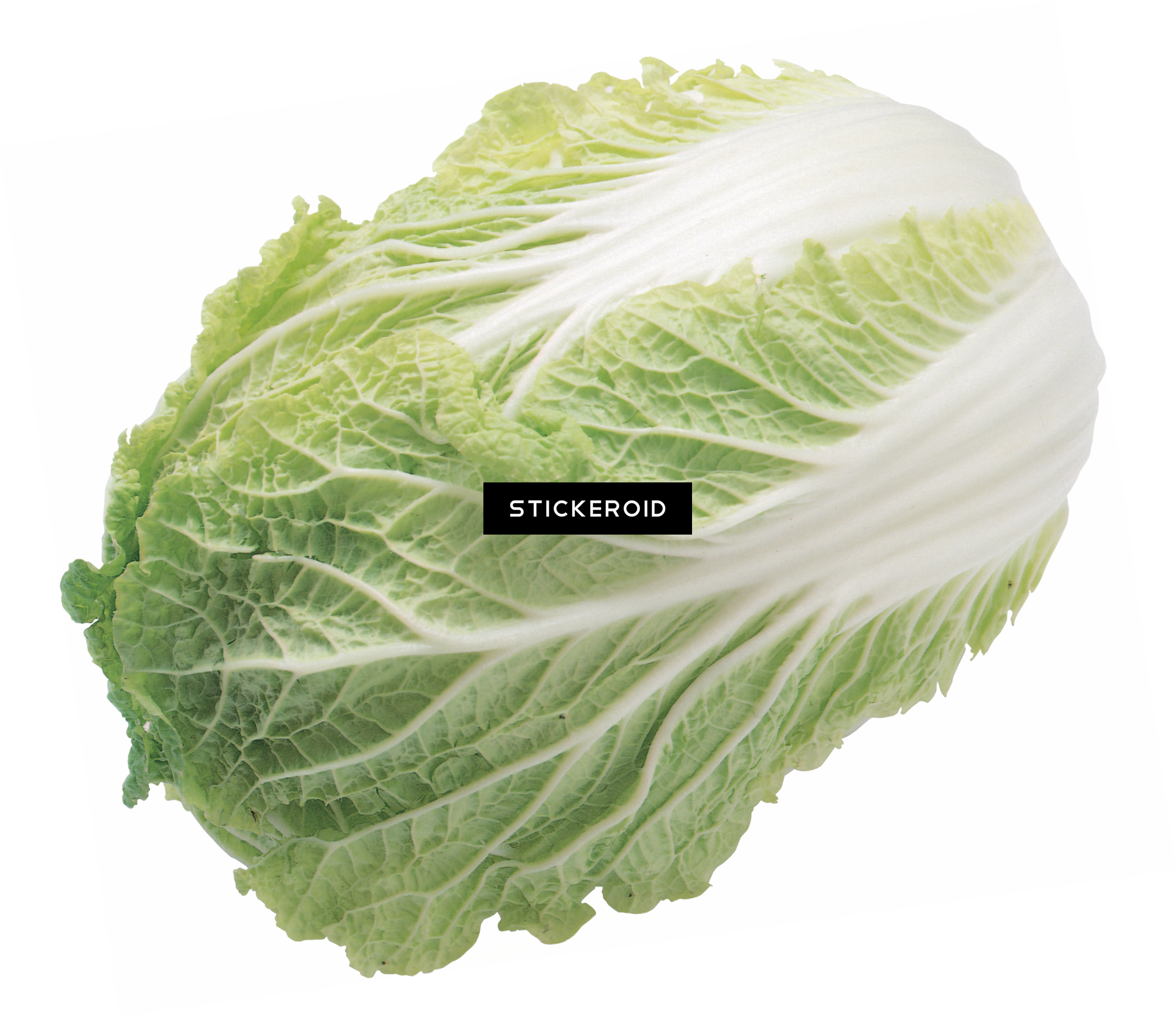 Salad - 包 心 白菜 (2029x1754), Png Download
