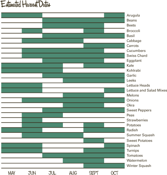 Other Specialties For (600x614), Png Download