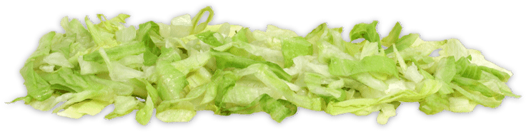Endive (850x470), Png Download