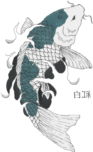 Koi Flipped - Koi Fish Drawings (312x507), Png Download