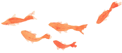 Download Fish Overlay - Full Size PNG Image - PNGkit