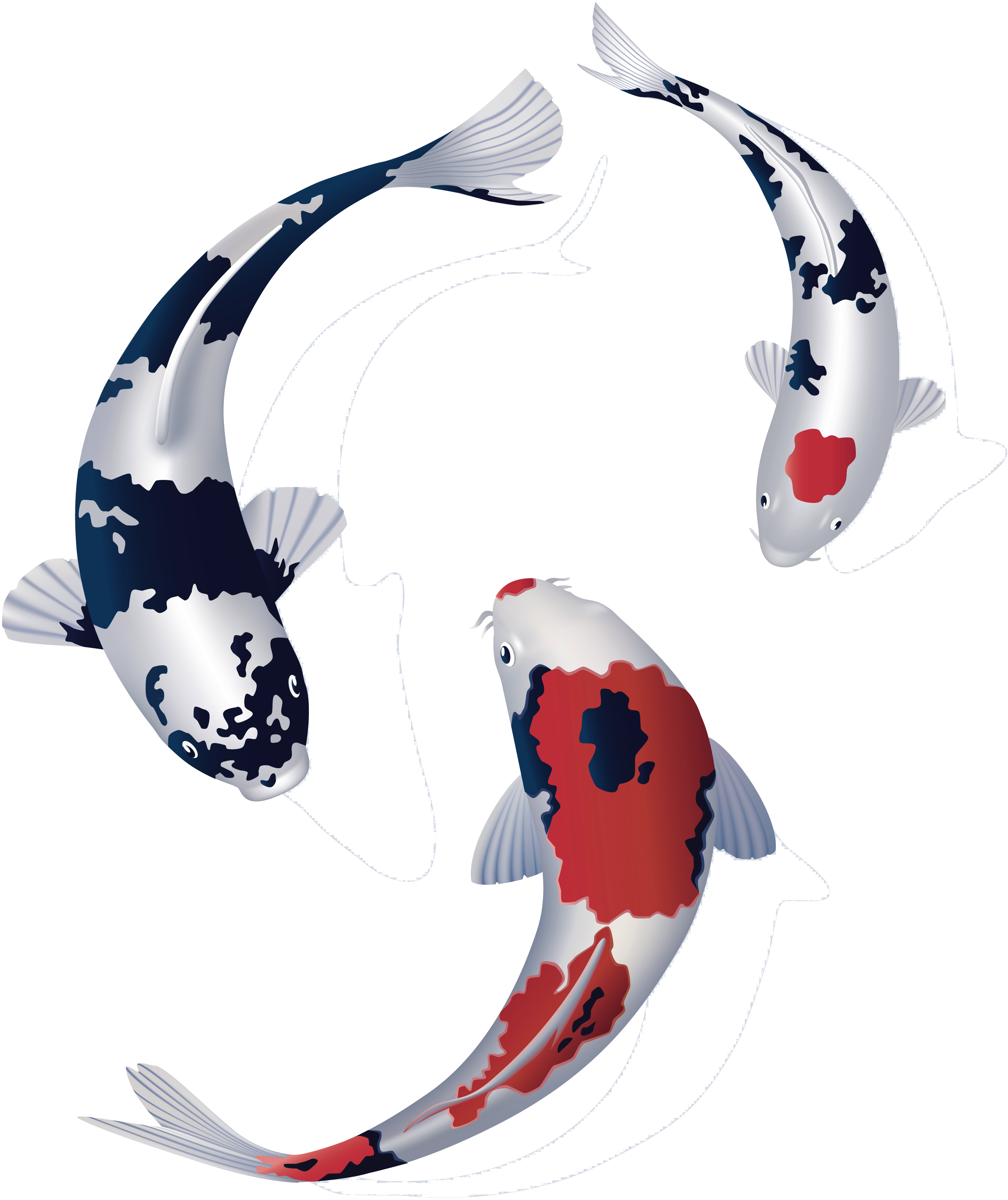 Totally Koi Bringing People Who Love Koi Together - Koi (4000x4000), Png Download