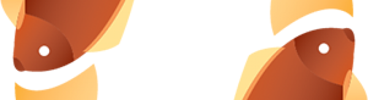 Koi Fish Circle - Arizona Experts (736x200), Png Download