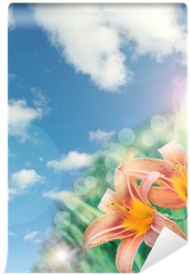 Beautiful Lily Flowers Background With Lens Flare Effect - Clip Art (400x400), Png Download