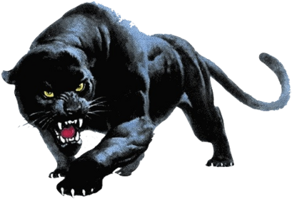Panther Fighting Png - Devon Meadows Football Club (425x292), Png Download