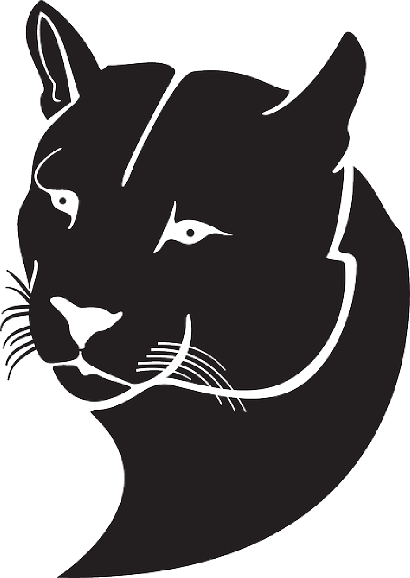 05 Mb Image - Pumas Clip Art (800x1127), Png Download