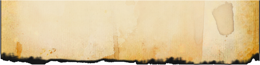 Burned Edges Paper 04 - Wood (900x247), Png Download
