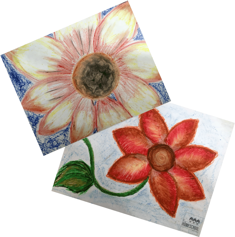 Above You Can See Our Projects From A Lesson That Taught - Artificial Flower (1024x1024), Png Download
