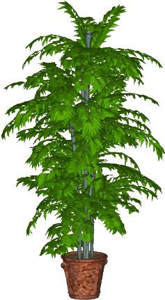 Potted Plant -0 - Houseplant (480x480), Png Download