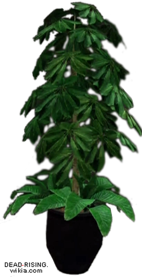 Dead Rising Potted Plant 3 - Potted Plant (294x571), Png Download