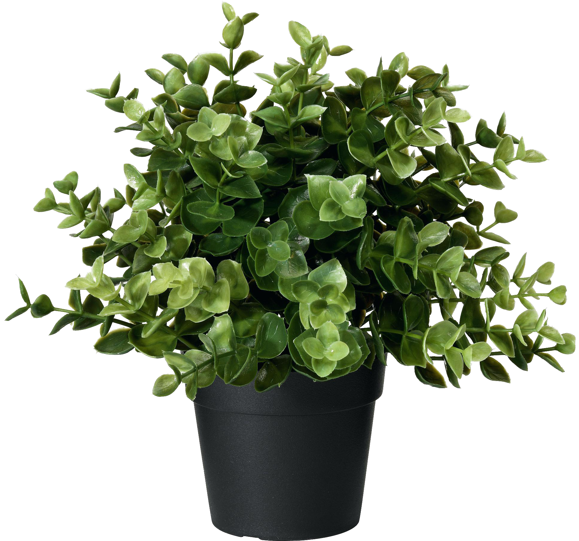 Artificial Potted Plant Oregano Png Image - Ikea Artificial Plant (2000x2000), Png Download