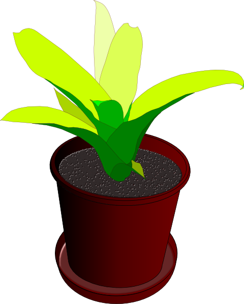 How To Set Use Potted Plant Clipart (480x597), Png Download