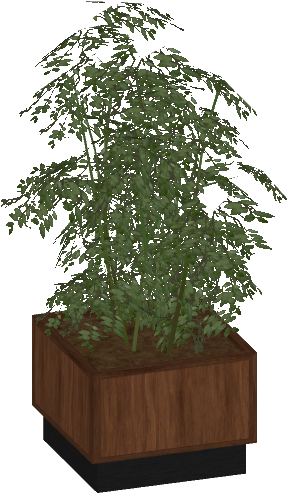 Potted Plant Wood 2 - Sageretia Theezans (500x500), Png Download