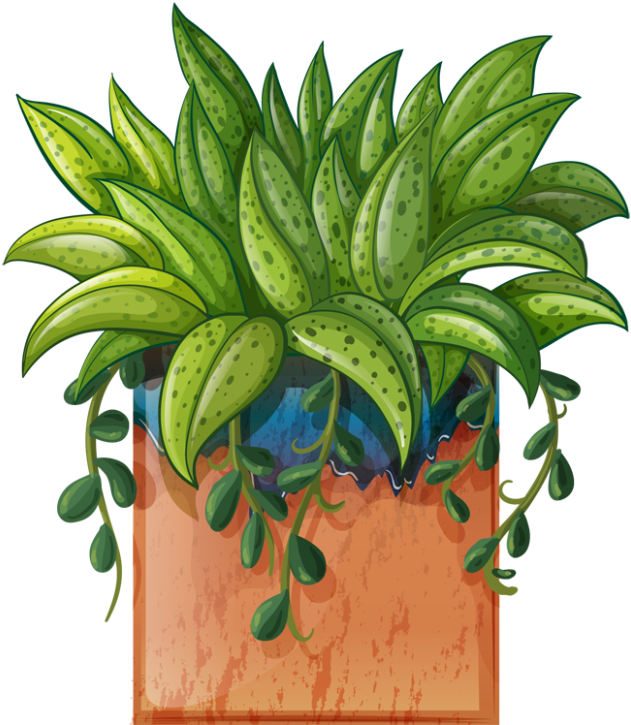 Pot Plant Clipart Beautiful Flower Pencil And In Color - Transparent Potted Plants Clipart Hd (640x727), Png Download