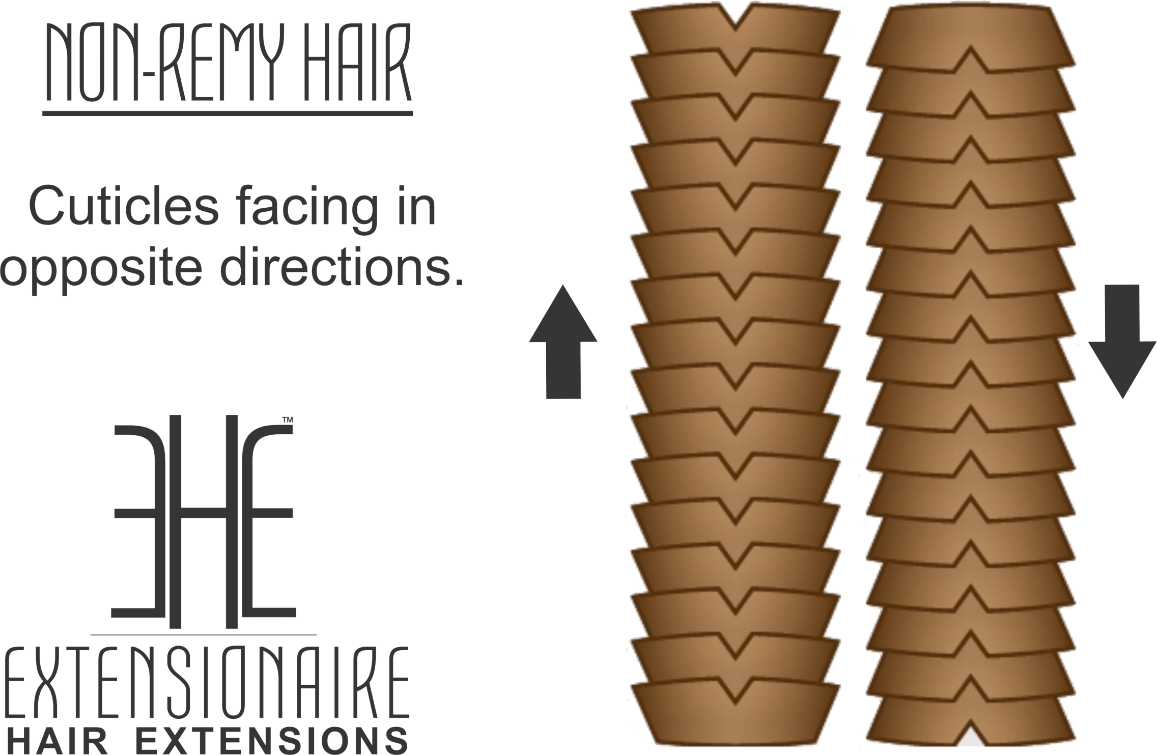 “non Remy” Hair Extensions Will Have Strands Of Hair (2273x1483), Png Download