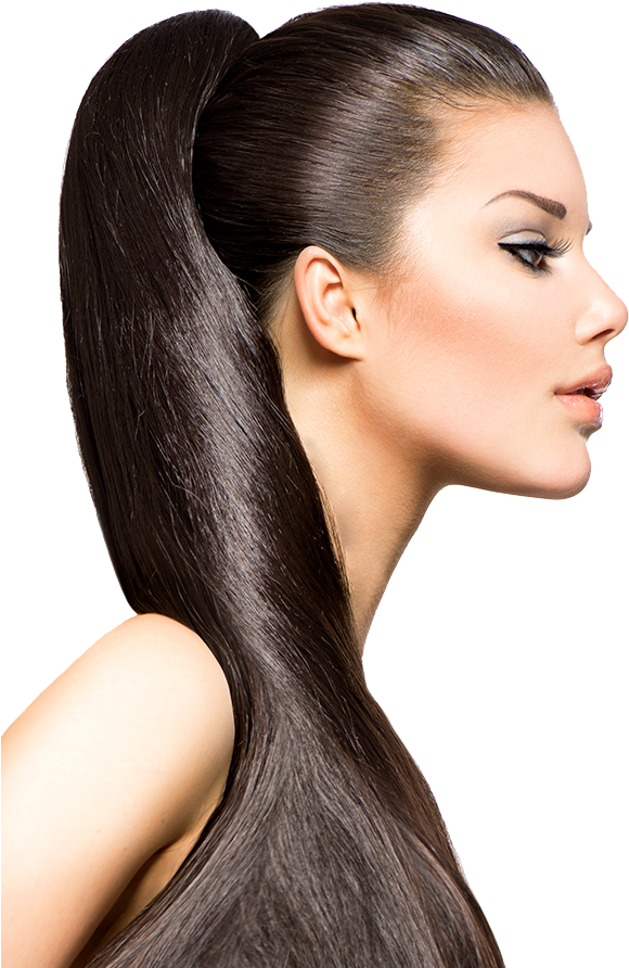 Our Prices - Pony Tail Hair (584x900), Png Download