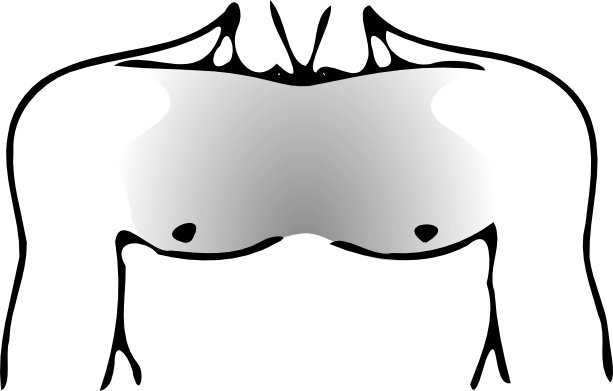 Download Human Chest Png Full Size Png Image Pngkit