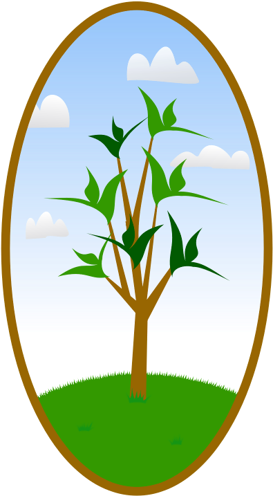 This Graphics Is An Oval Landscape Tree About Buttons, - Tree Hugger Nature Lover Tee Tile Coaster (566x800), Png Download