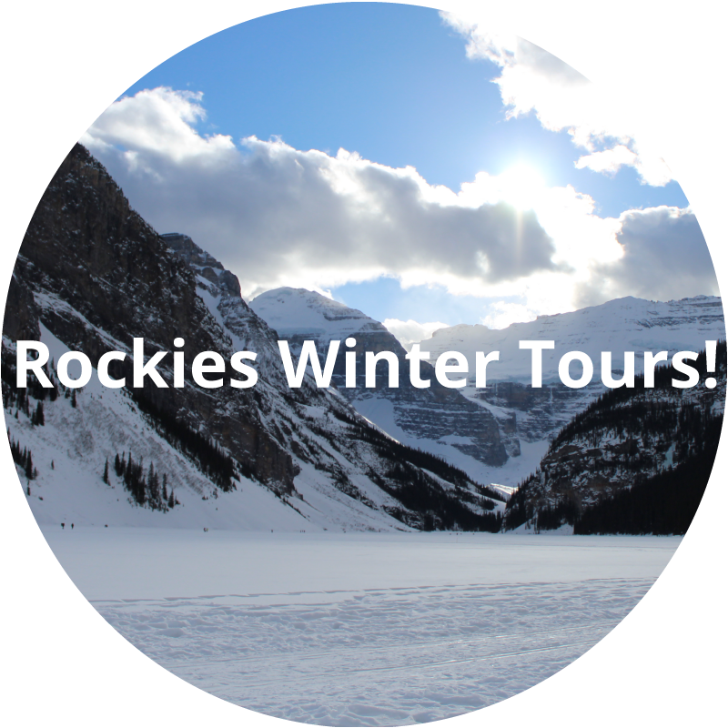 Unique Travel & Sightseeing Experiences In Western - Lake Louise (800x800), Png Download