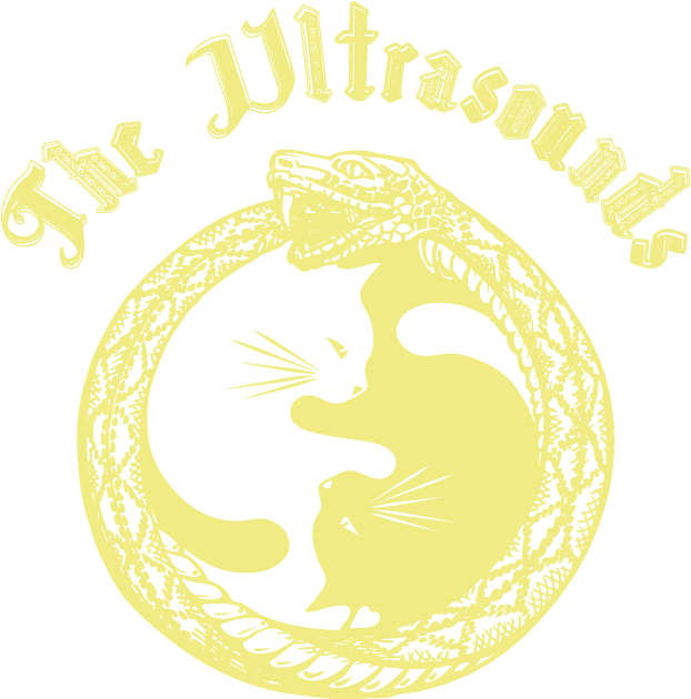 The Ultrasounds - Vintage Two Yin Yang Cats Necklace Pendant Kolye Cabochon (653x686), Png Download