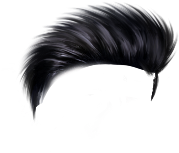Hair Png - Feather (1115x1600), Png Download
