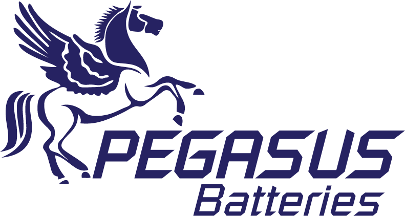 Pegasus Battery (791x422), Png Download