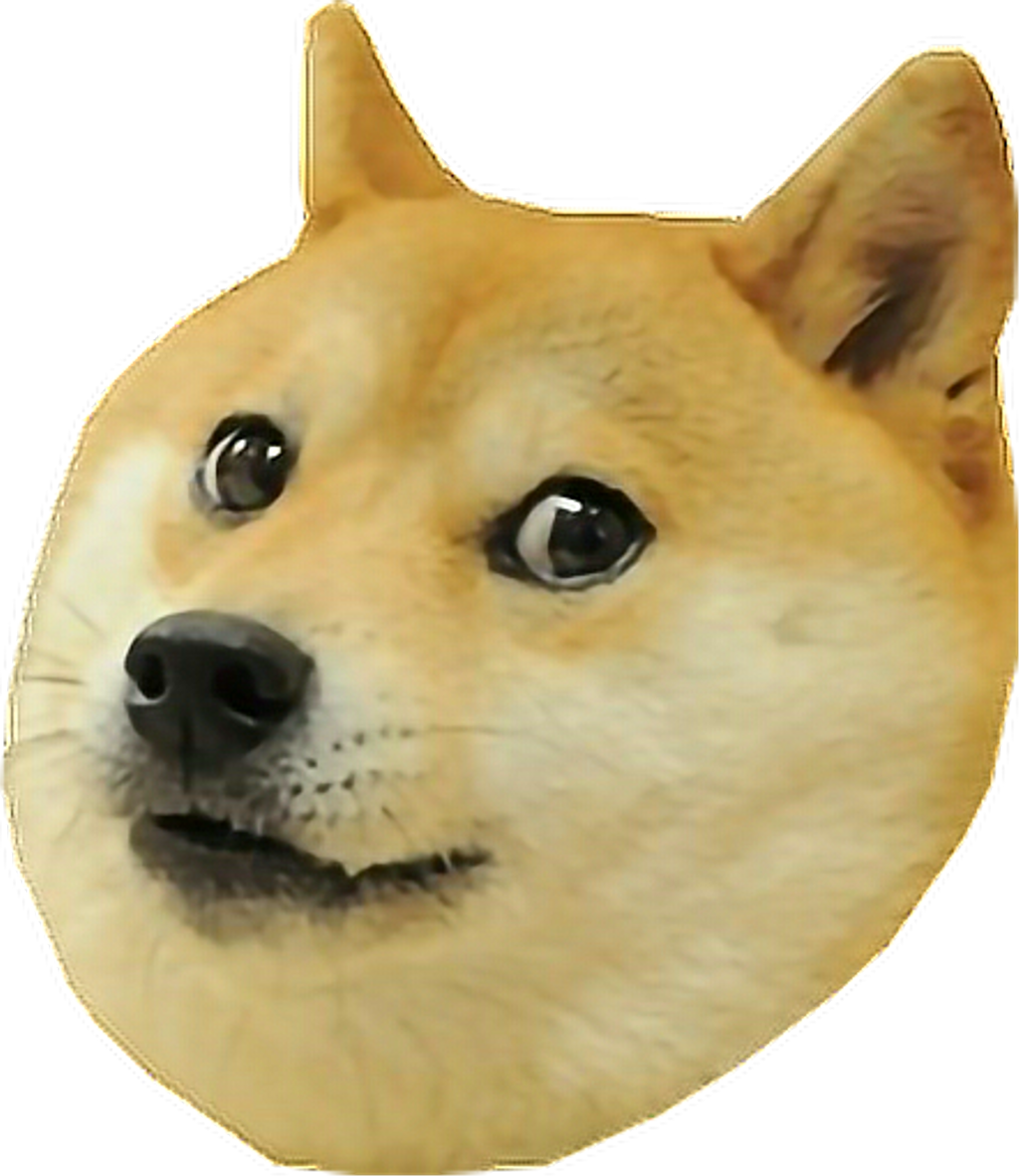 Doge Dog Doge Meme Memesfreetoedit (818x951), Png Download