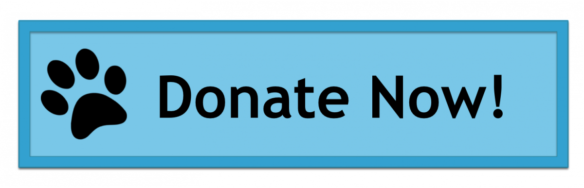 Dog Shelter - Yamaha Eph-c300 Black In-ear Headphones (1200x387), Png Download