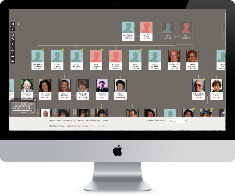 Old Family Tree Site - Social Feed On Website (900x753), Png Download